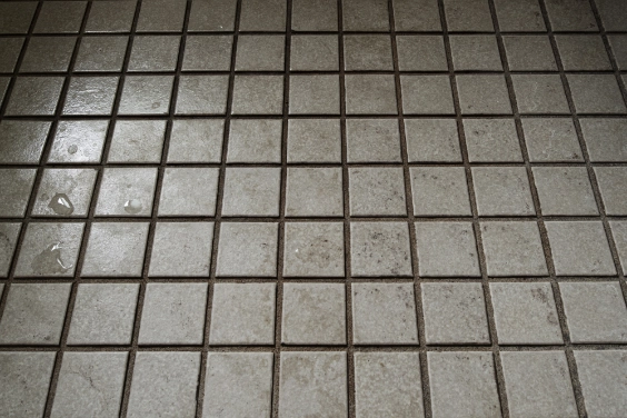 タイル目地・石材壁・サイディングのくもり